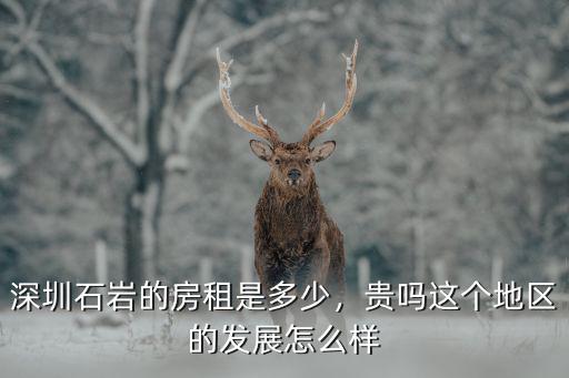 深圳石巖健身房多少錢一個月,深圳石巖的房租是多少