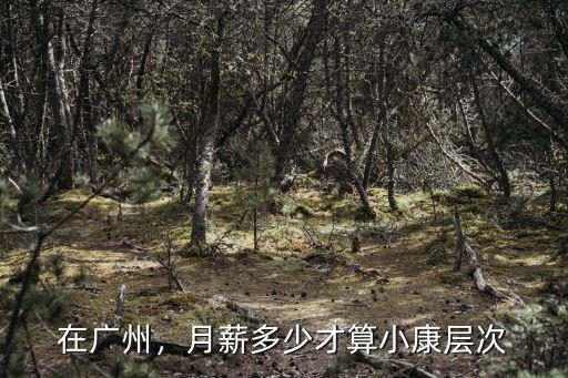 在廣州，月薪多少才算小康層次