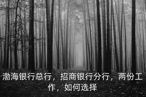 渤海銀行(深圳分行營業(yè)部)怎么樣,渤海銀行總行