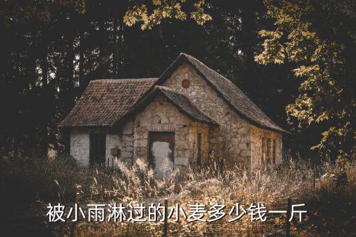 臨沂費縣中糧收購小麥多少錢一斤,元旦小麥大概會多少錢一斤
