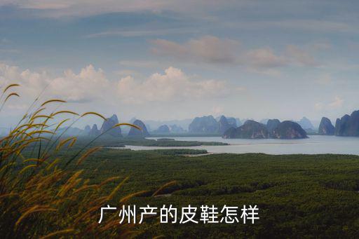 廣州產的皮鞋怎樣
