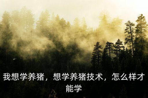 廣州哪里能學養豬,想學養豬技術