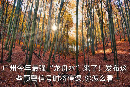 廣州今年最強(qiáng)“龍舟水”來(lái)了！發(fā)布這些預(yù)警信號(hào)時(shí)將停課,你怎么看