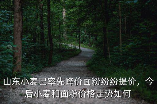 濱州博興小麥價格是多少,今后小麥和面粉價格走勢如何