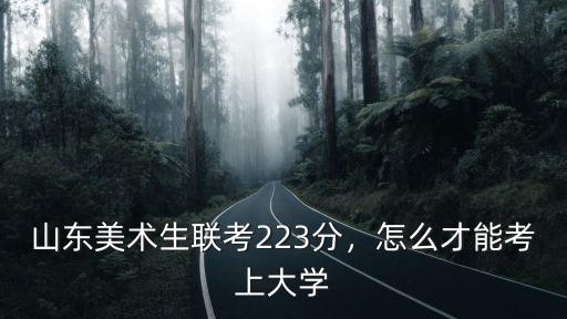 山東省多少美術生,山東美術生聯考223分