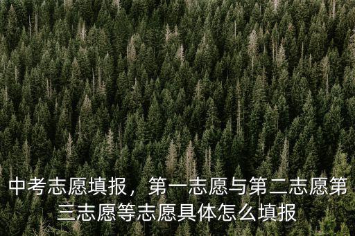中考志愿填報，第一志愿與第二志愿第三志愿等志愿具體怎么填報