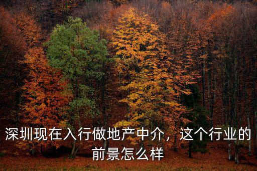 深圳現在入行做地產中介，這個行業的前景怎么樣