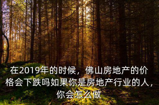 在2019年的時候，佛山房地產的價格會下跌嗎如果你是房地產行業的人，你會怎么做