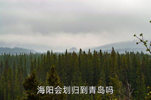 山東海陽現在多少度,多少彩禮算體面