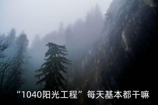 “1040陽光工程”每天基本都干嘛