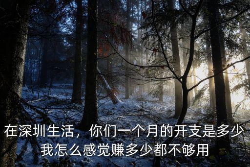 深圳一個月生活成本是多少,深圳物價比較高