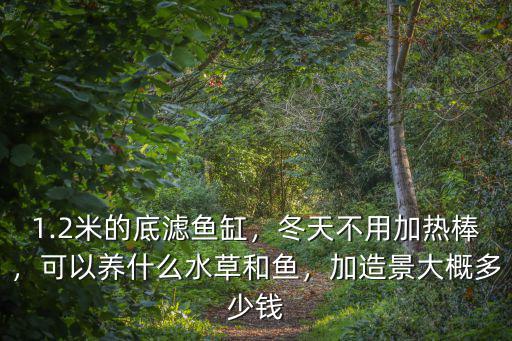 德州小型魚缸造景多少錢,微型魚缸造景擺地?cái)傇趺礃?/></a></span><span id=