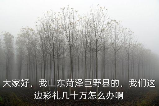 山東菏澤巨野張表有多少人,我山東菏澤巨野縣的