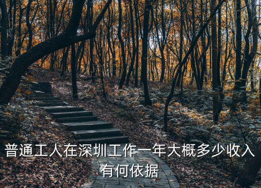 普通工人在深圳工作一年大概多少收入有何依據