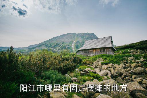 陽江市廢品賣哪里啊,陽江市哪里有固定擺攤的地方