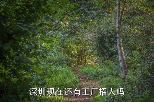 深圳比亞迪哪里招工,我在深圳比亞迪工廠上班