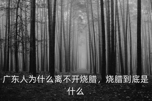廣東燒臘前景怎么樣,廣東人為什么離不開燒臘
