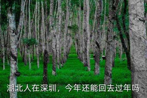 湖北籍法人公司在深圳怎么返工,湖北人在深圳