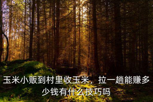 玉米小販到村里收玉米，拉一趟能賺多少錢有什么技巧嗎
