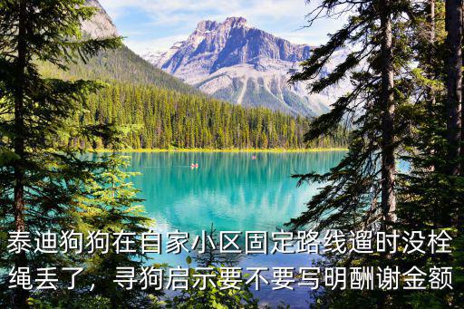 東莞尋狗啟示在哪里,你看到哪些尋狗啟示