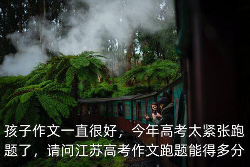 孩子作文一直很好，今年高考太緊張跑題了，請問江蘇高考作文跑題能得多分