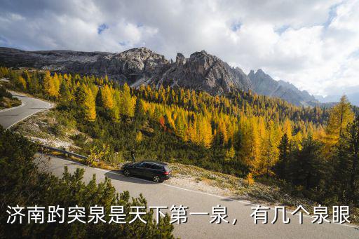 濟南趵突泉是天下第一泉，有幾個泉眼