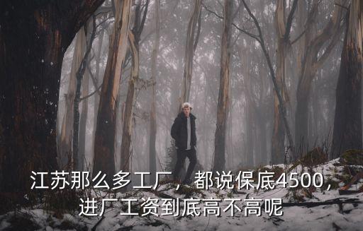 江蘇那么多工廠，都說保底4500，進(jìn)廠工資到底高不高呢