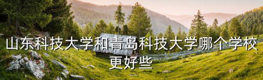 山東科技大學(xué)和青島科技大學(xué)哪個學(xué)校更好些