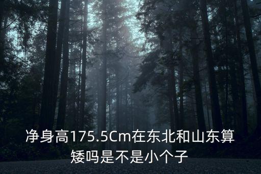凈身高175.5Cm在東北和山東算矮嗎是不是小個子