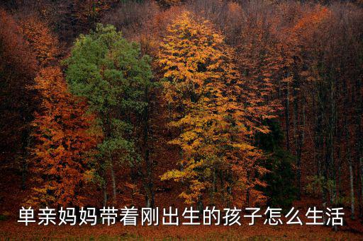 廣州單親媽媽怎么帶孩子,單親媽媽如何帶好一個孩子