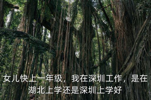 女兒快上一年級，我在深圳工作，是在湖北上學還是深圳上學好