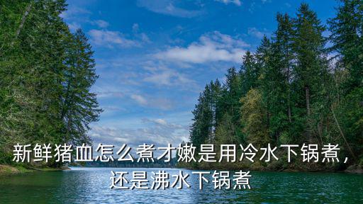 新鮮豬血怎么煮才嫩是用冷水下鍋煮，還是沸水下鍋煮