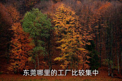東莞辰達電子廠在哪里,東莞日華電子廠怎么樣