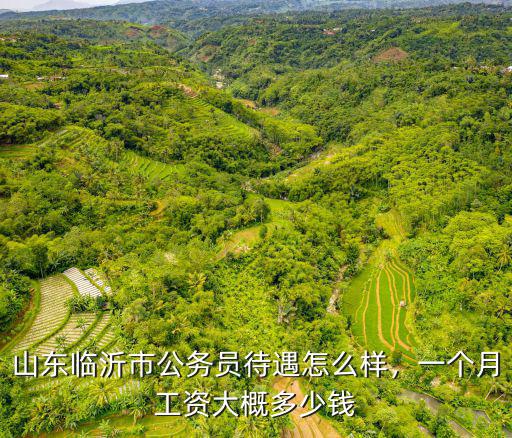 山東臨沂公務員收多少分,年薪能到多少