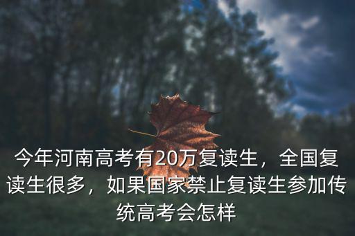 今年河南高考有20萬復(fù)讀生，全國復(fù)讀生很多，如果國家禁止復(fù)讀生參加傳統(tǒng)高考會(huì)怎樣