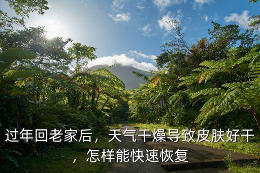 過年回老家后，天氣干燥導致皮膚好干，怎樣能快速恢復