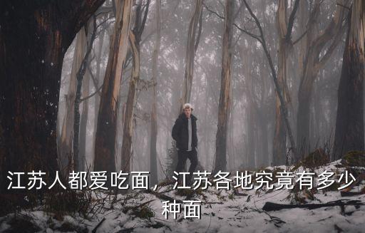 江蘇人都愛吃面，江蘇各地究竟有多少種面