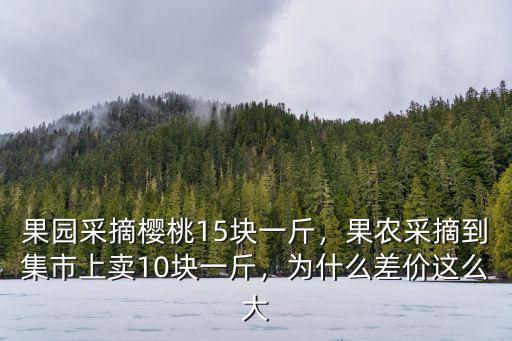 青島櫻桃采摘 多少錢一斤,果園采摘櫻桃15塊一斤