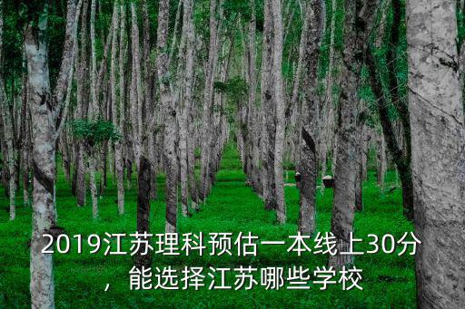 2019江蘇理科預估一本線上30分，能選擇江蘇哪些學校