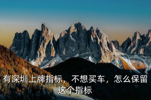 有深圳上牌指標，不想買車，怎么保留這個指標