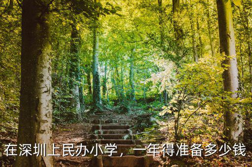 深圳英孚學(xué)費(fèi)一般多少,在深圳上民辦小學(xué)