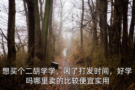 東莞市哪里可以學二胡,哪里可以學二胡