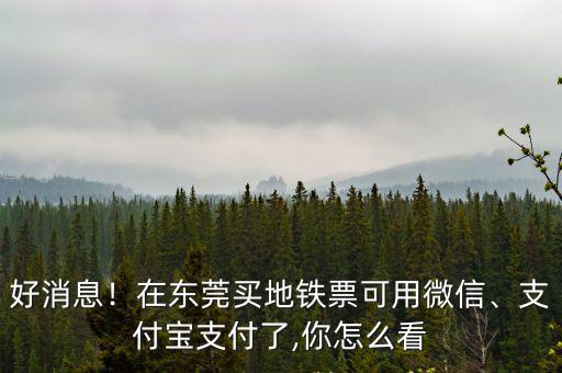 好消息！在東莞買地鐵票可用微信、支付寶支付了,你怎么看