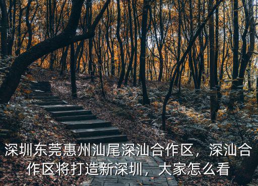 深圳東莞惠州汕尾深汕合作區，深汕合作區將打造新深圳，大家怎么看