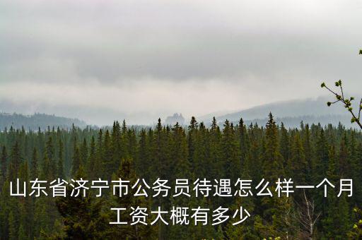 山東省濟寧市公務員待遇怎么樣一個月工資大概有多少
