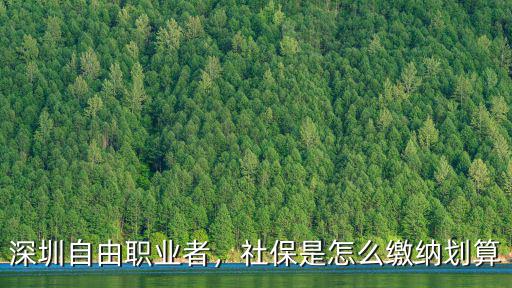 深圳自由職業者，社保是怎么繳納劃算
