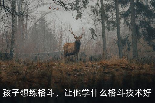 孩子想練格斗，讓他學什么格斗技術好