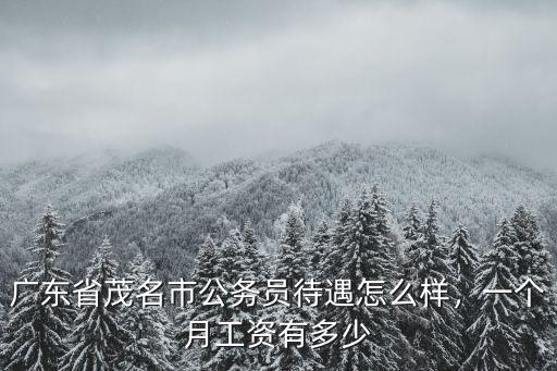 廣東省茂名市公務員待遇怎么樣，一個月工資有多少