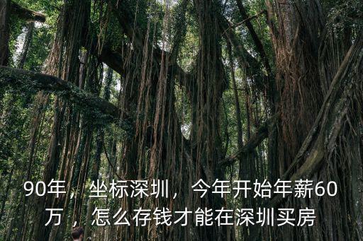 90年，坐標(biāo)深圳，今年開(kāi)始年薪60萬(wàn) ，怎么存錢才能在深圳買房