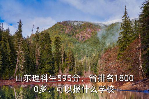 山東理科生595分，省排名18000多，可以報什么學校